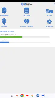 BCBSM screenshot 7