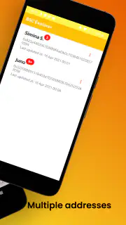 Binance Smart Chain Explorer screenshot 2