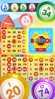Bingo Country Boys: Tournament screenshot 2