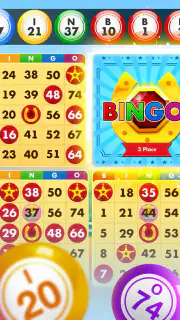 Bingo Country Boys: Tournament screenshot 7