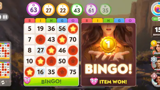 Bingo Diary screenshot 4