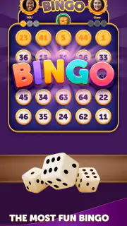 Bingo Dice screenshot 1