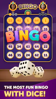 Bingo Dice screenshot 5