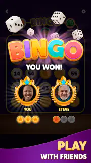 Bingo Dice screenshot 8