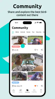 Birdfy screenshot 2