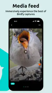 Birdfy screenshot 4