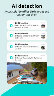 Birdfy screenshot 5