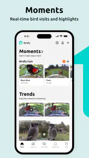 Birdfy screenshot 6