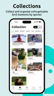 Birdfy screenshot 8