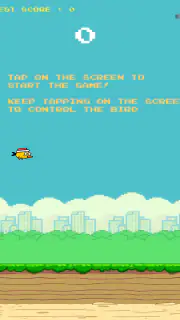 Birdy bird - Game Original screenshot 8