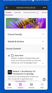 Blackboard screenshot 3