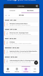 Blackboard screenshot 5