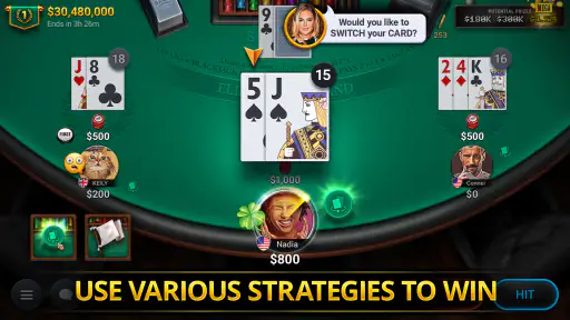 Blackjack Championship screenshot 3