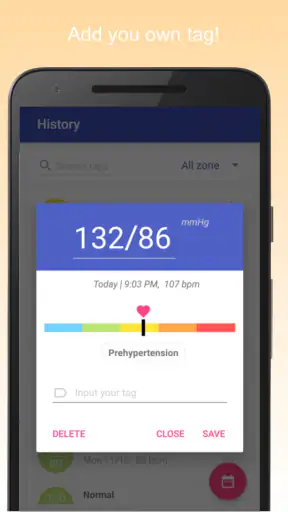 Blood Pressure Diary screenshot