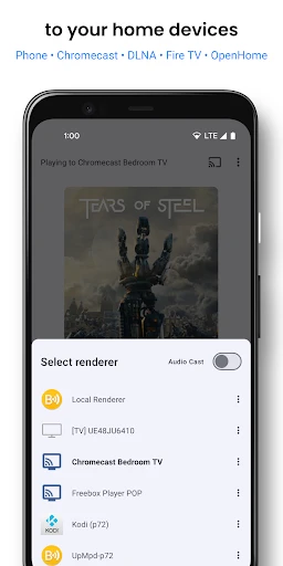 BubbleUPnP UPnP/DLNA License screenshot