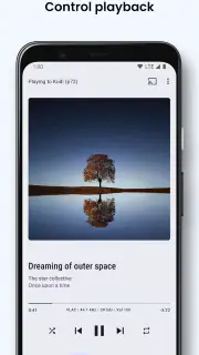 BubbleUPnP UPnP/DLNA License screenshot 4