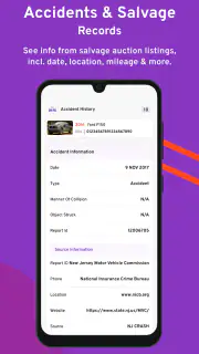 Bumper Vehicle History Reports screenshot 5