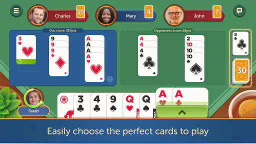 Canasta - Fun & Friends screenshot 2
