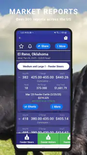 Cattle Market Mobile screenshot 2