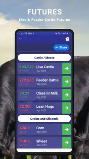 Cattle Market Mobile screenshot 3