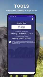 Cattle Market Mobile screenshot 5