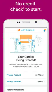 Classic Netspend screenshot 2