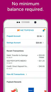 Classic Netspend screenshot 3