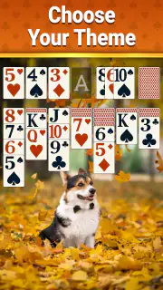 Classic Solitaire - 2025 screenshot 6