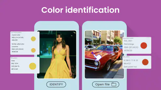 Color Identification screenshot 1