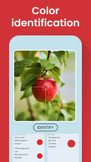 Color Identification screenshot 3