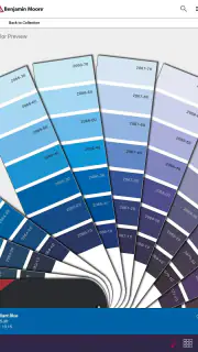 Color Portfolio screenshot 8