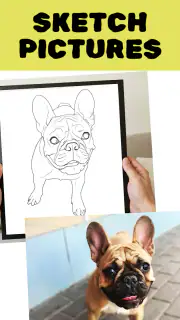 Colorify: Coloring Book Maker screenshot 7