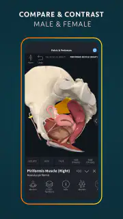 Complete Anatomy screenshot 5