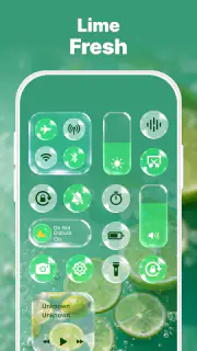Control Widget: Theme & Panels screenshot 4