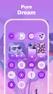 Control Widget: Theme & Panels screenshot 5