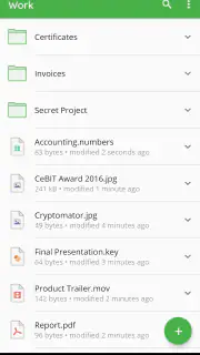 Cryptomator screenshot 5