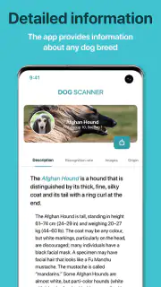 Dog Scanner: Breed Recognition screenshot 8