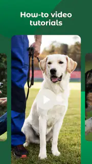 Dogo — Puppy and Dog Training screenshot 7