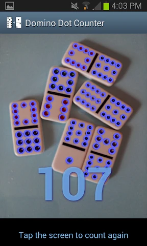 Domino Dot Counter screenshot