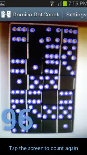 Domino Dot Counter screenshot 7