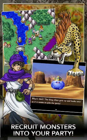 DRAGON QUEST V screenshot