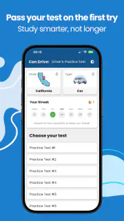 Driver's License Practice Test screenshot 1