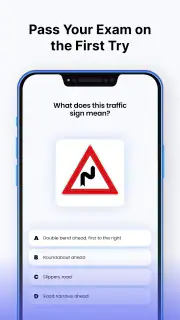 Driving Instructor: Road Test screenshot 2