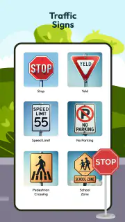 Driving Instructor-Theory Test screenshot 4
