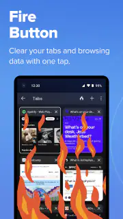 DuckDuckGo Browser, Search, AI screenshot 7