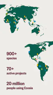 Ecosia - Safe Internet Browser screenshot 4