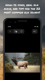 ElkNut screenshot 3