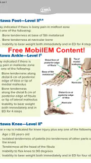 EMRA MobilEM screenshot 8