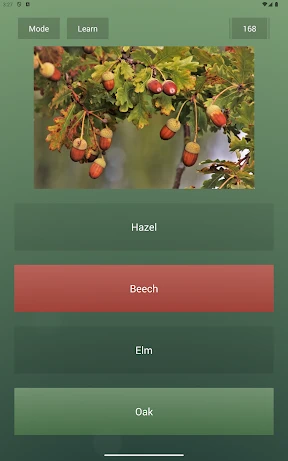 Endless Quiz Pro screenshot