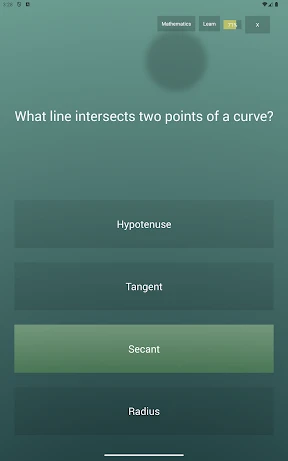 Endless Quiz Pro screenshot
